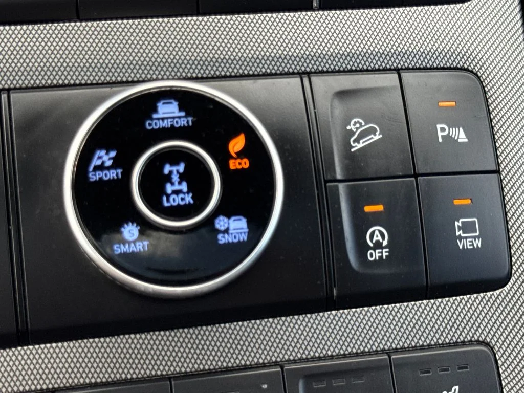 Used 2022 Rainforest Hyundai Calligraphy image 50