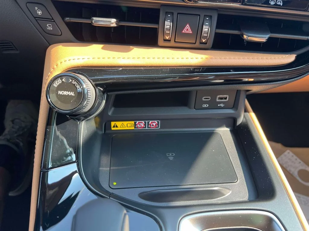 2026 Lexus NX 450h+ Luxury - Photo 29