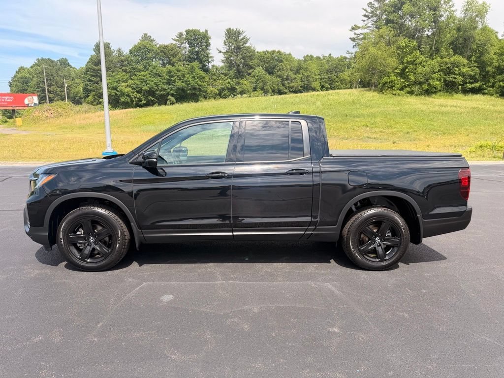 Used 2023 Black Honda Black Edition image 7