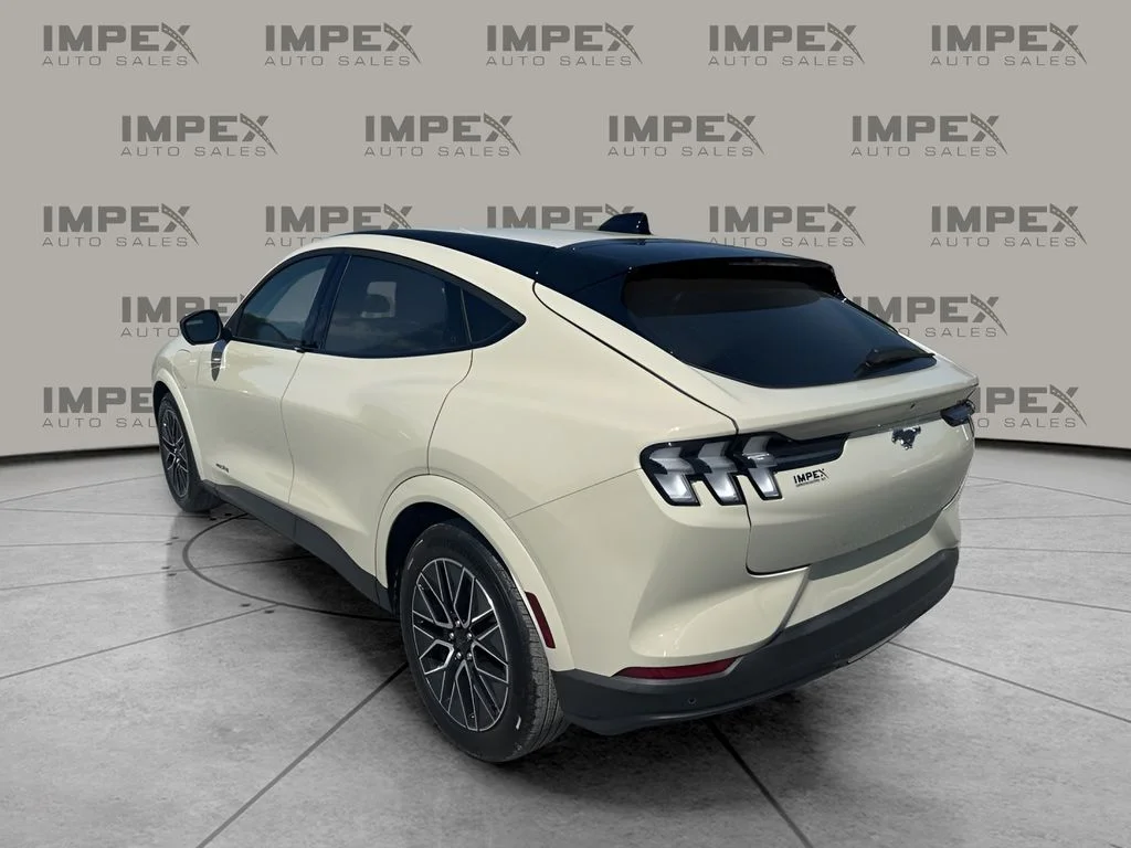 Used 2025 Beige Ford Premium image 3