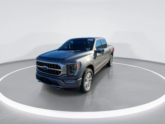 Used 2021 Gray Ford Platinum image 2