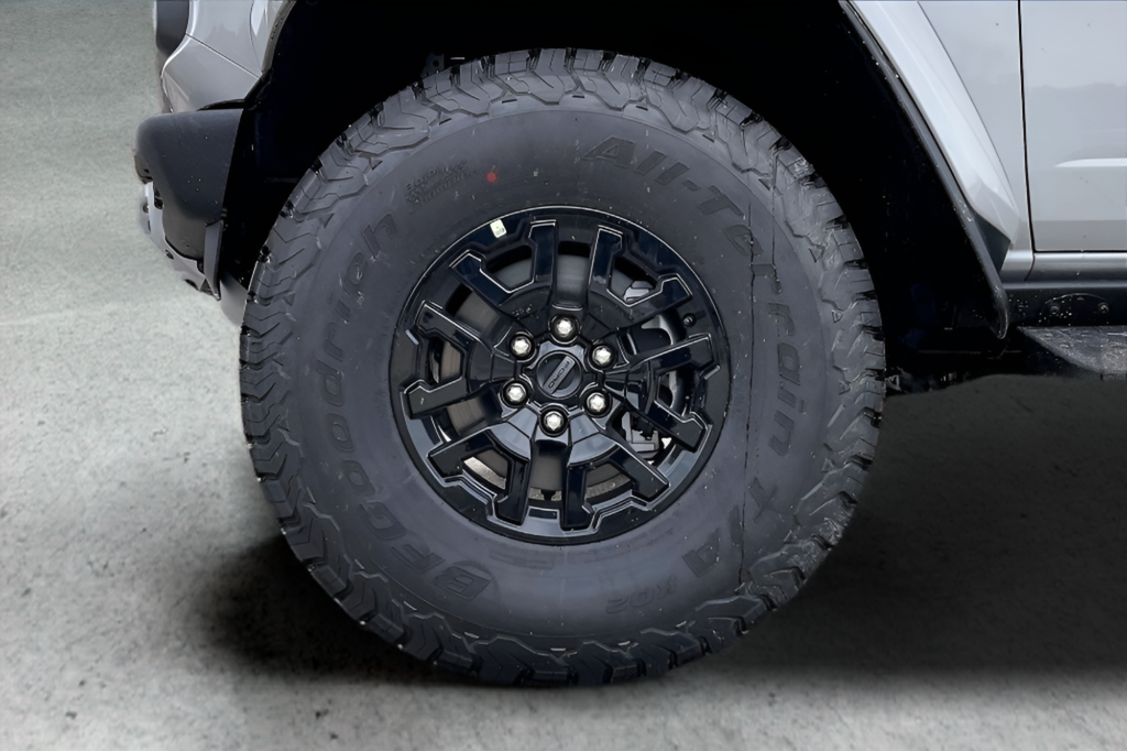 New 2026 Avalanche Gray Ford Raptor image 19