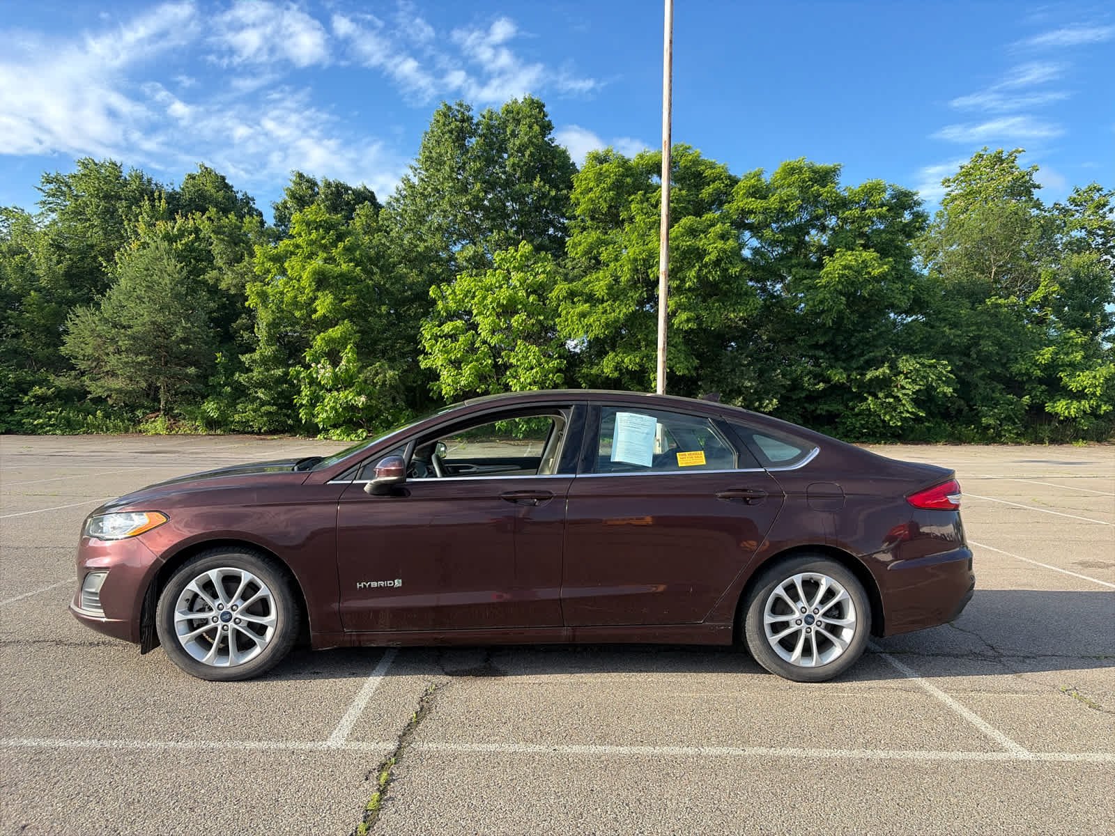 Used 2019 Bur/burgandy Ford SE image 4