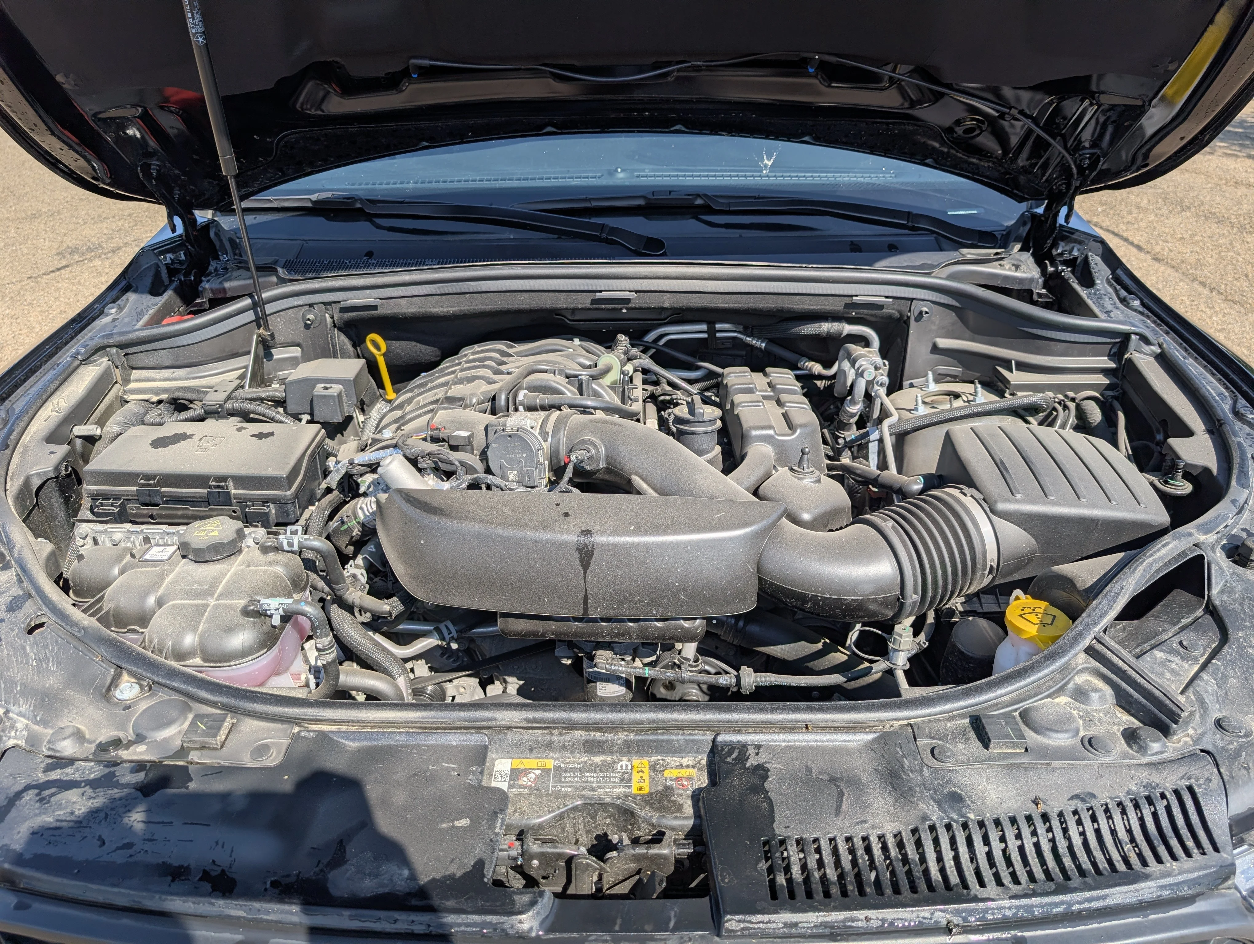 New 2025 DB Black Dodge GT image 32