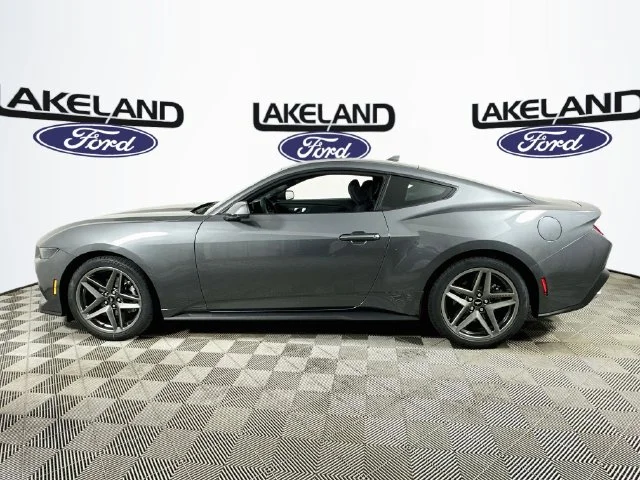 New 2026 Gray Ford EcoBoost image 6