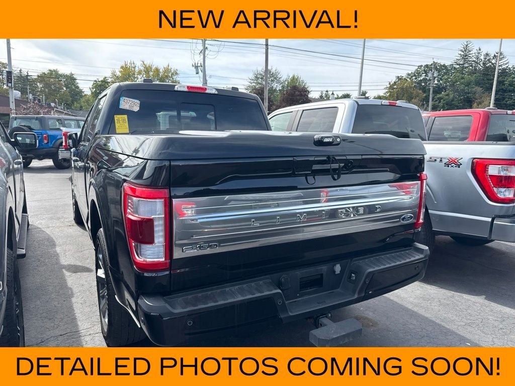 Used 2023 Black Metallic Ford Limited image 4