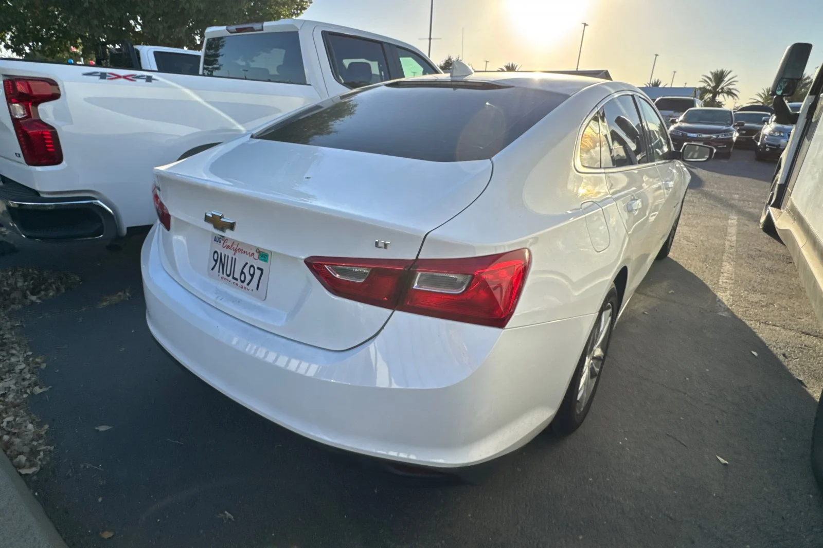 Photo 4