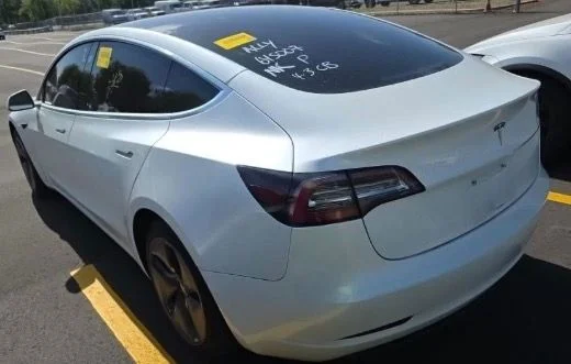 Used 2020 White Tesla Standard image 10