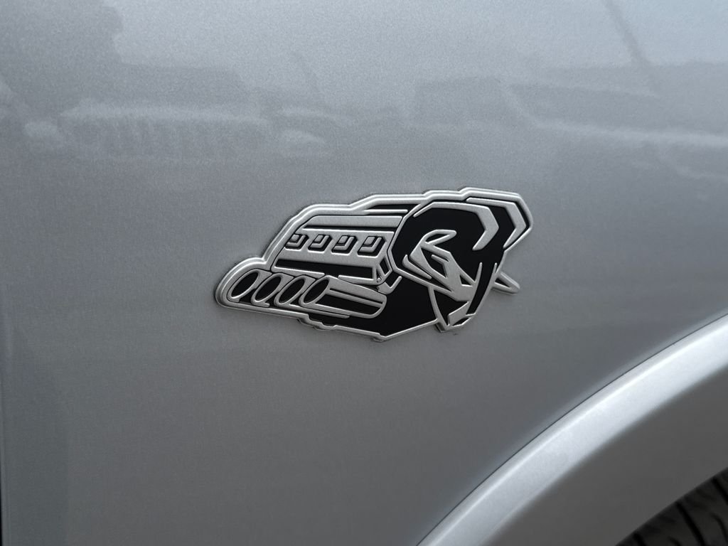 New 2026 Silver Zynith Exterior Paint RAM Big Horn/Lone Star image 8