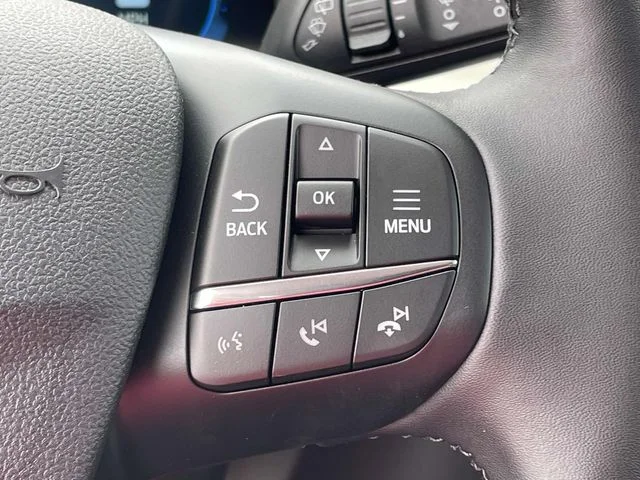 New 2025 Gray Ford Heritage image 6