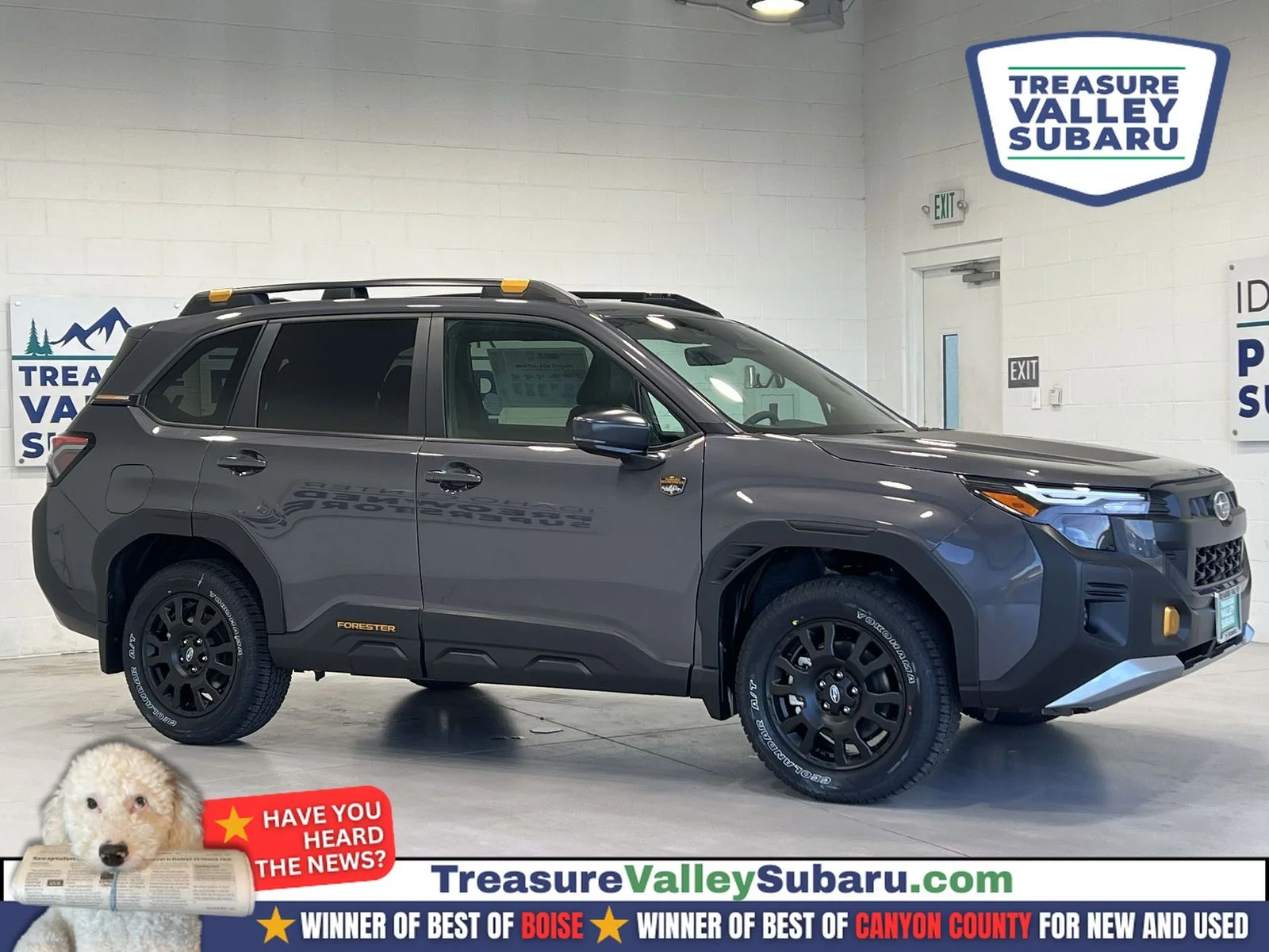 2026 Subaru Forester Wilderness's photo