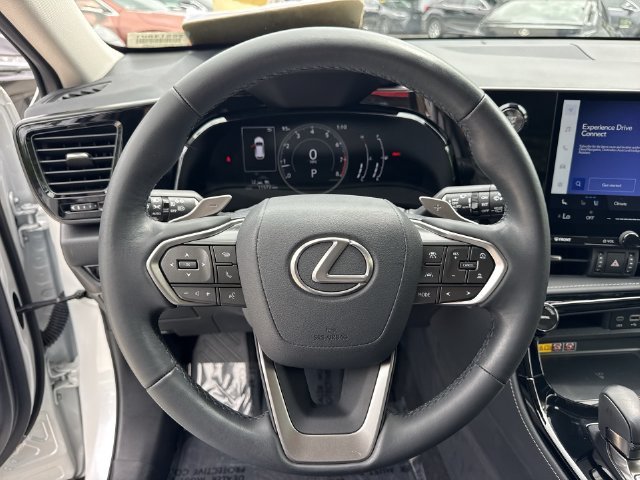 2025 Lexus NX 250 - Photo 14