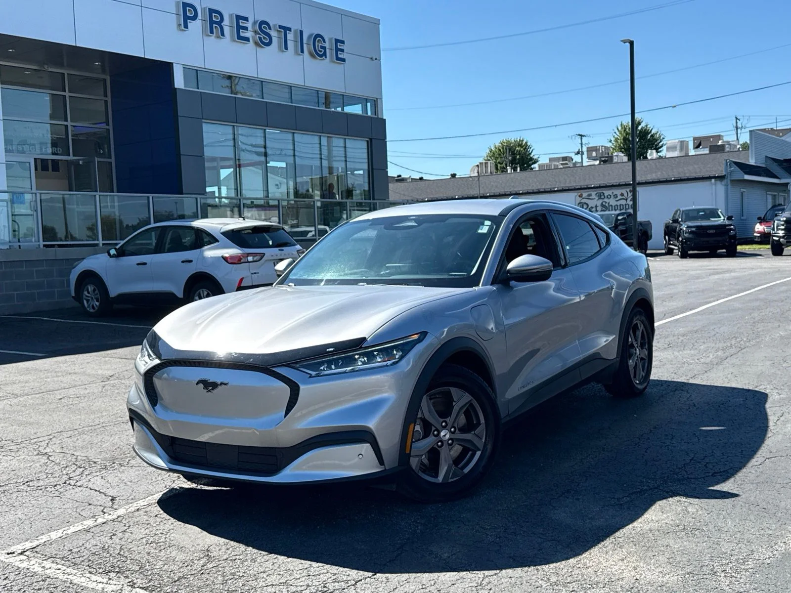 2021 Ford Mustang-Mach-e Select's photo