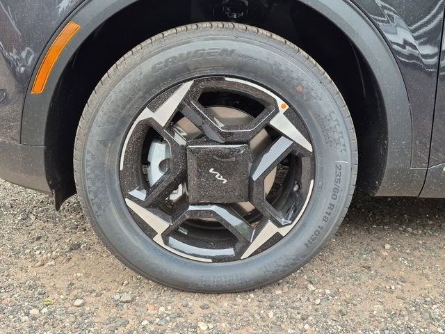 New 2026 Panthera Metal Kia EX image 9