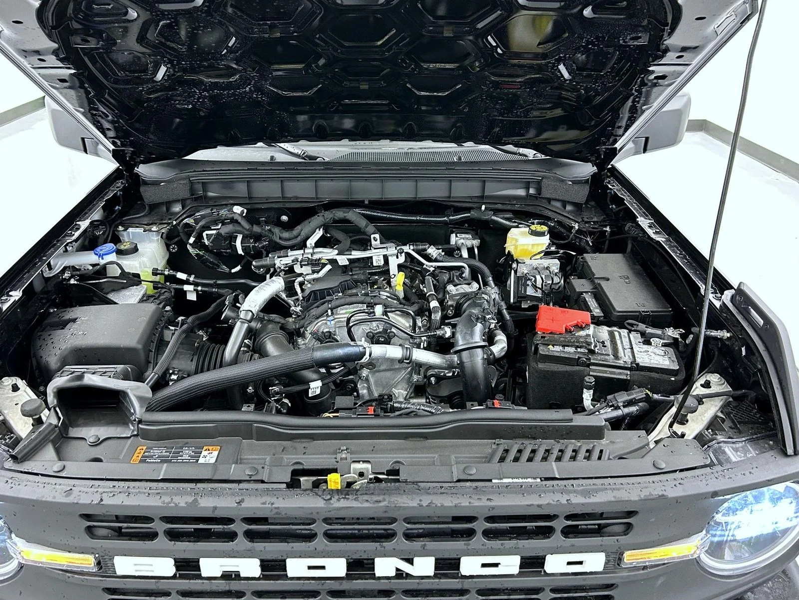 New 2026 Black Ford Base image 24