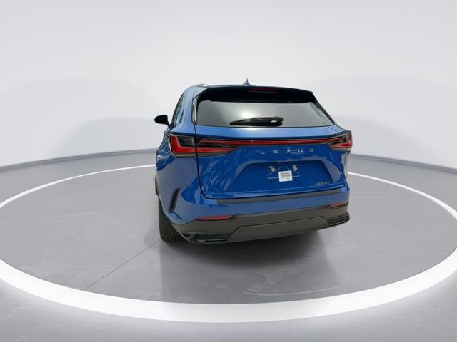 2025 Lexus NX 250 - Photo 6