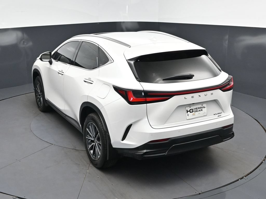 2025 Lexus NX 350 - Photo 33