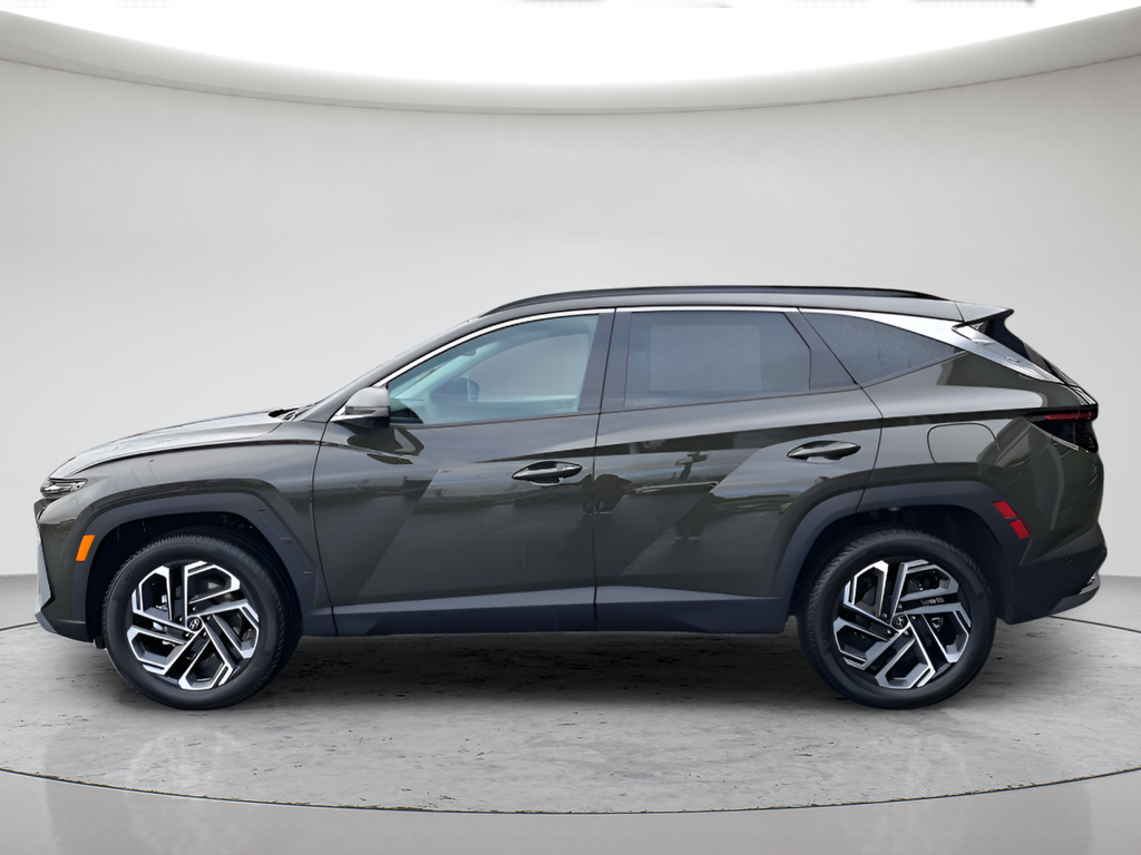 New 2026 Green Hyundai Limited image 6