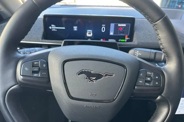 Used 2025 Desert Sand Ford Premium image 25