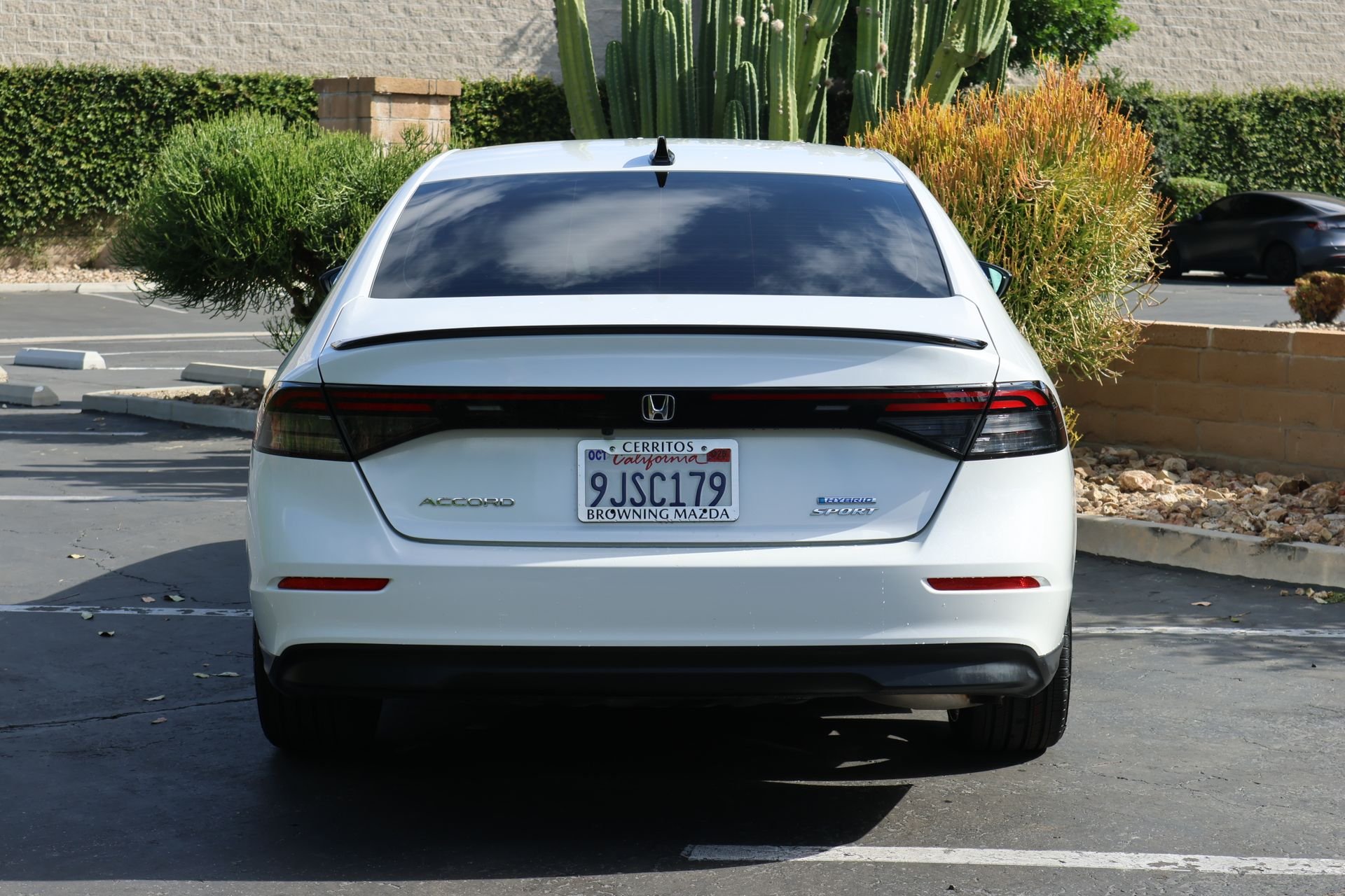 Used 2024 White Honda Sport image 4