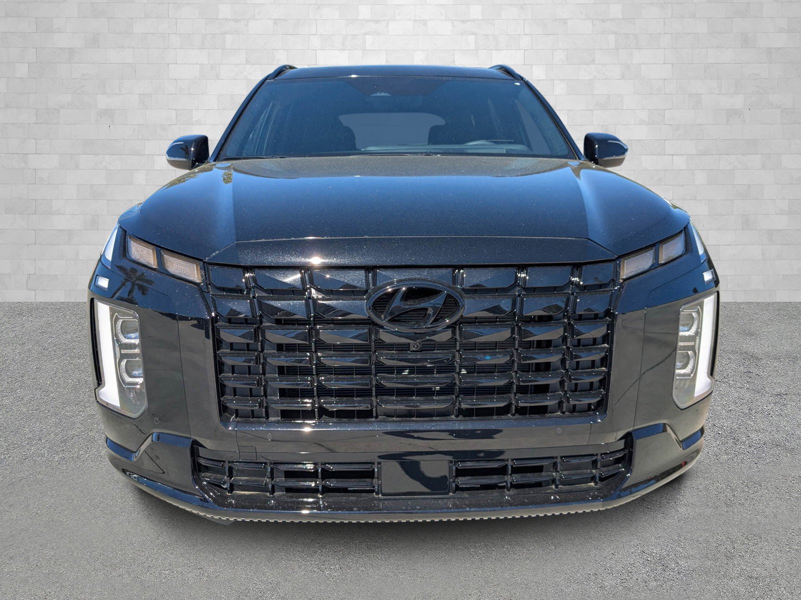 2025 Hyundai Palisade Calligraphy Night Edition - Photo 6