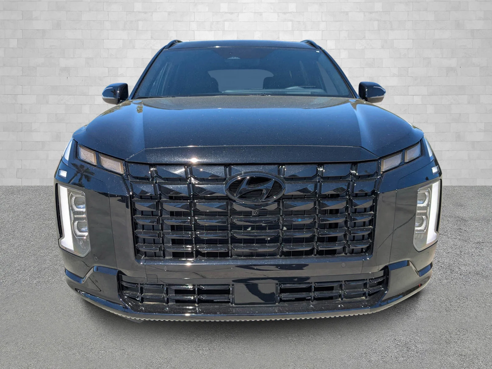2025 Hyundai Palisade Calligraphy Night Edition - Photo 6