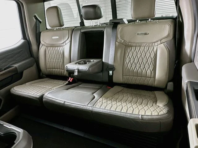 New 2026 Black Ford Platinum image 11