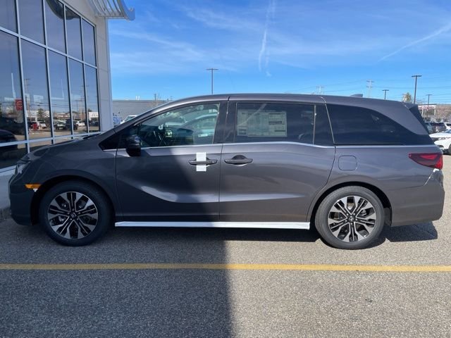 New 2026 Modern Steel Metallic Honda Elite image 4