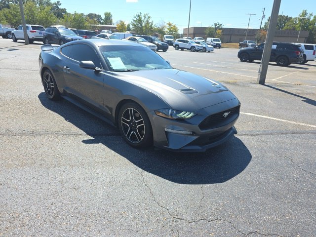 Used 2019 Gray Ford EcoBoost image 1