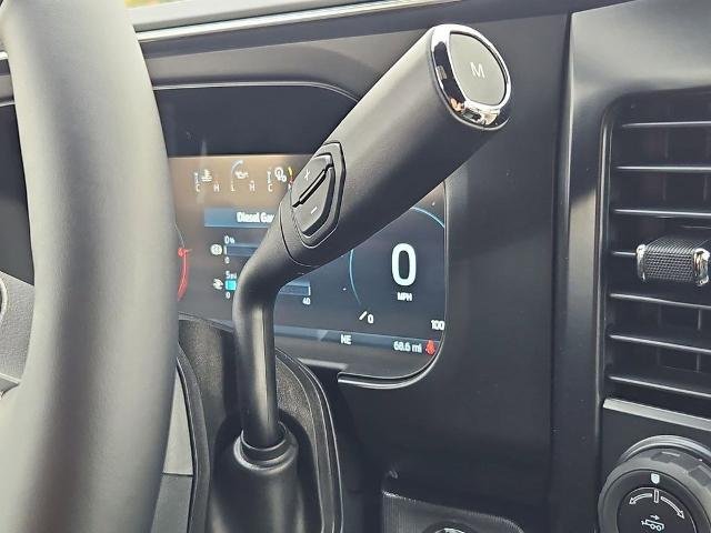 2026 Ford F-250 Super Duty Platinum - Photo 17