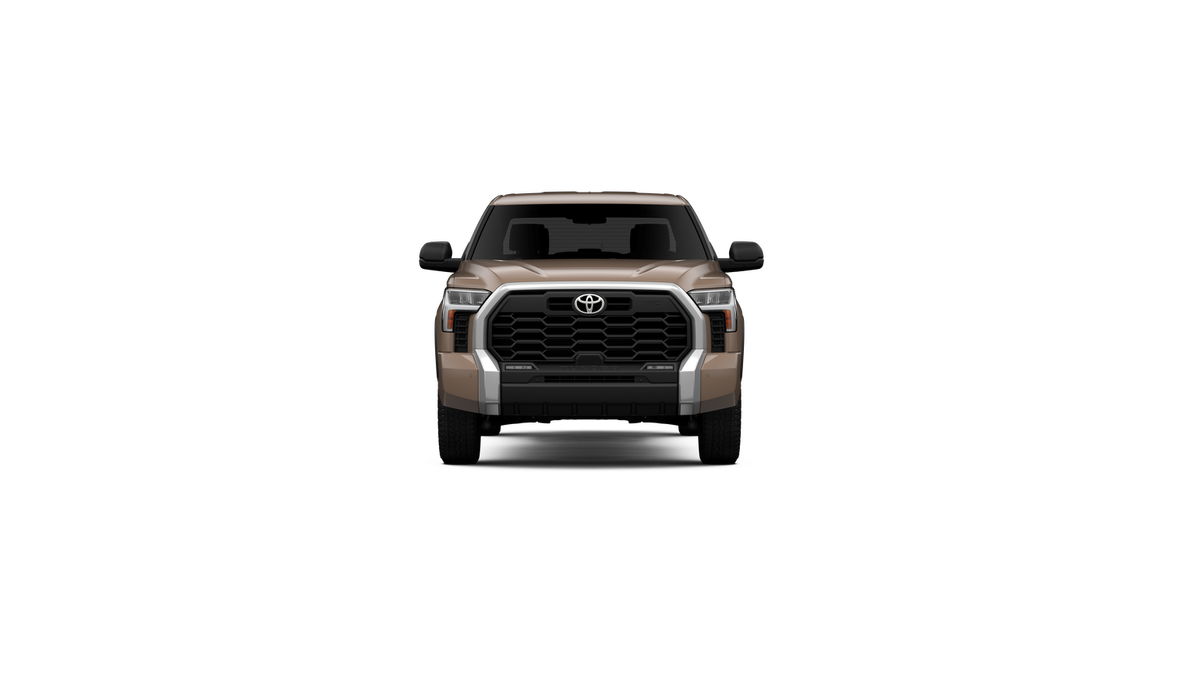 New 2026 Mudbath Toyota SR5 image 17