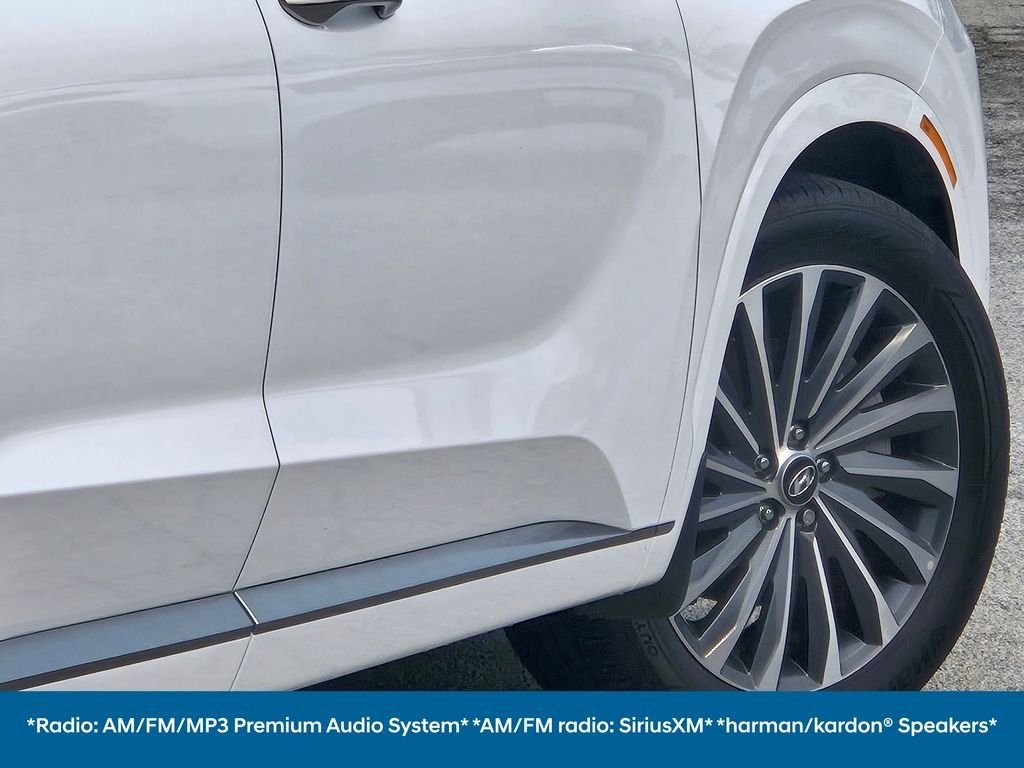 2025 Hyundai Palisade Calligraphy - Photo 18