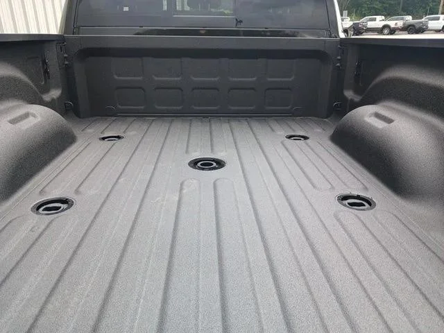 New 2026 Diamond Black Crystal Pearl-Coat Exterior Paint RAM TRADESMAN image 6