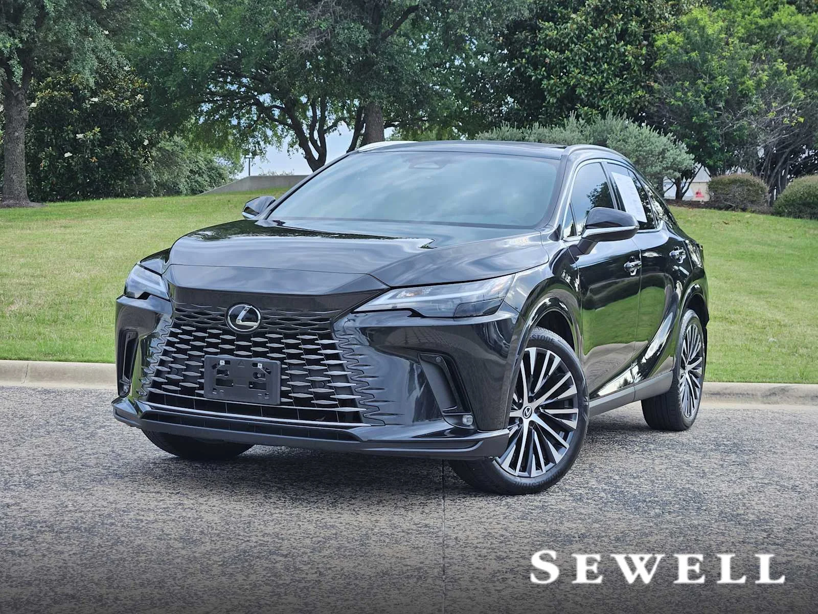 2024 Lexus RX 350h 350h Premium Plus AWD's photo