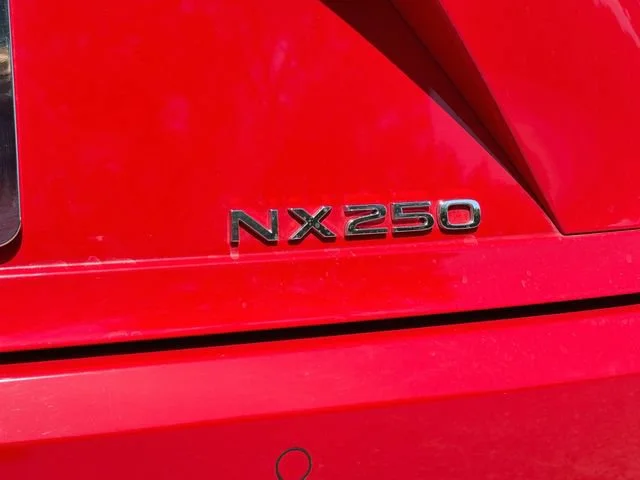 Certified Used 2024 Red Line Lexus NX 250 Premium image 11