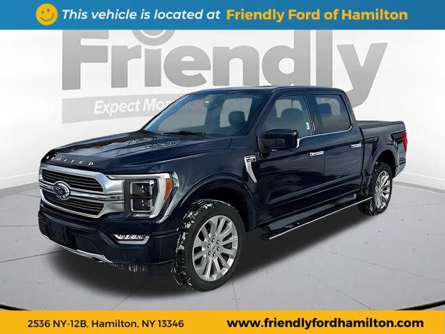 Used 2021 Blue Ford Limited image 1