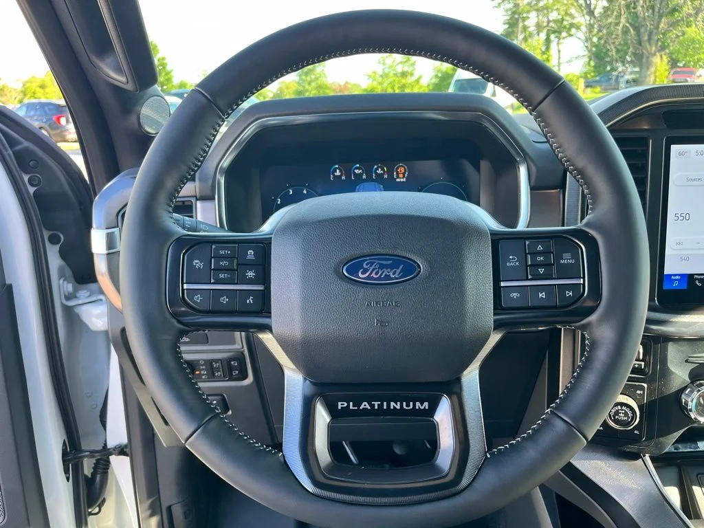 New 2026 White Ford Platinum image 14