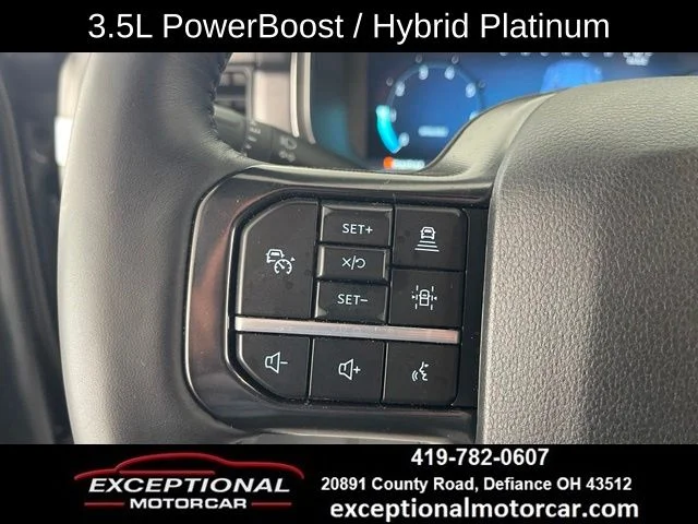 Used 2025 Gray Ford Platinum image 39