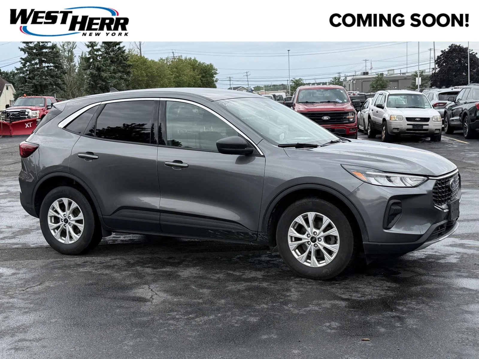 Used 2023 Carbonized Gray Metallic Ford Active image 1