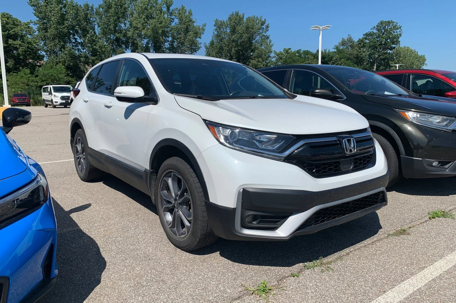 Used 2022 White Honda EX-L image 6