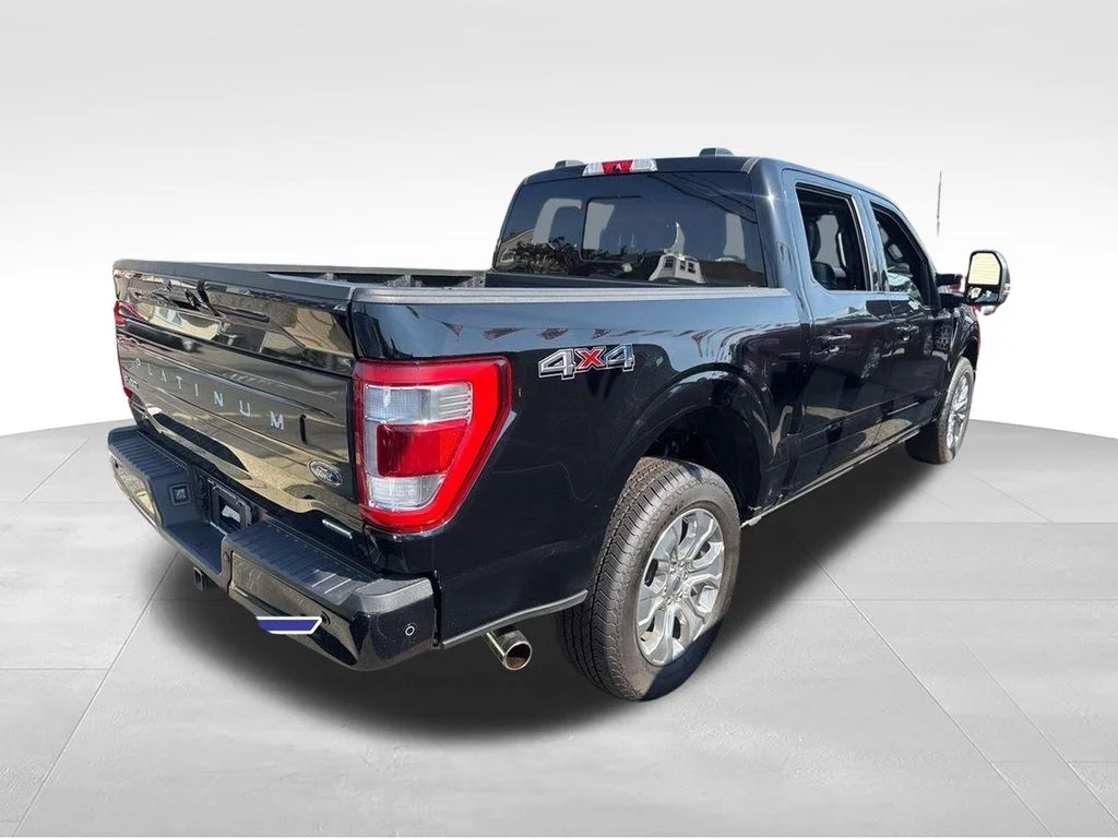 Used 2023 Black Ford Platinum image 10