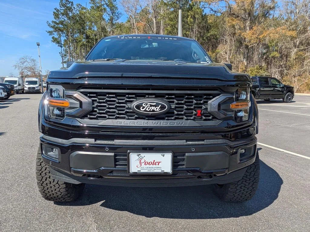 New 2026 Agate Black Metallic Ford XLT image 8