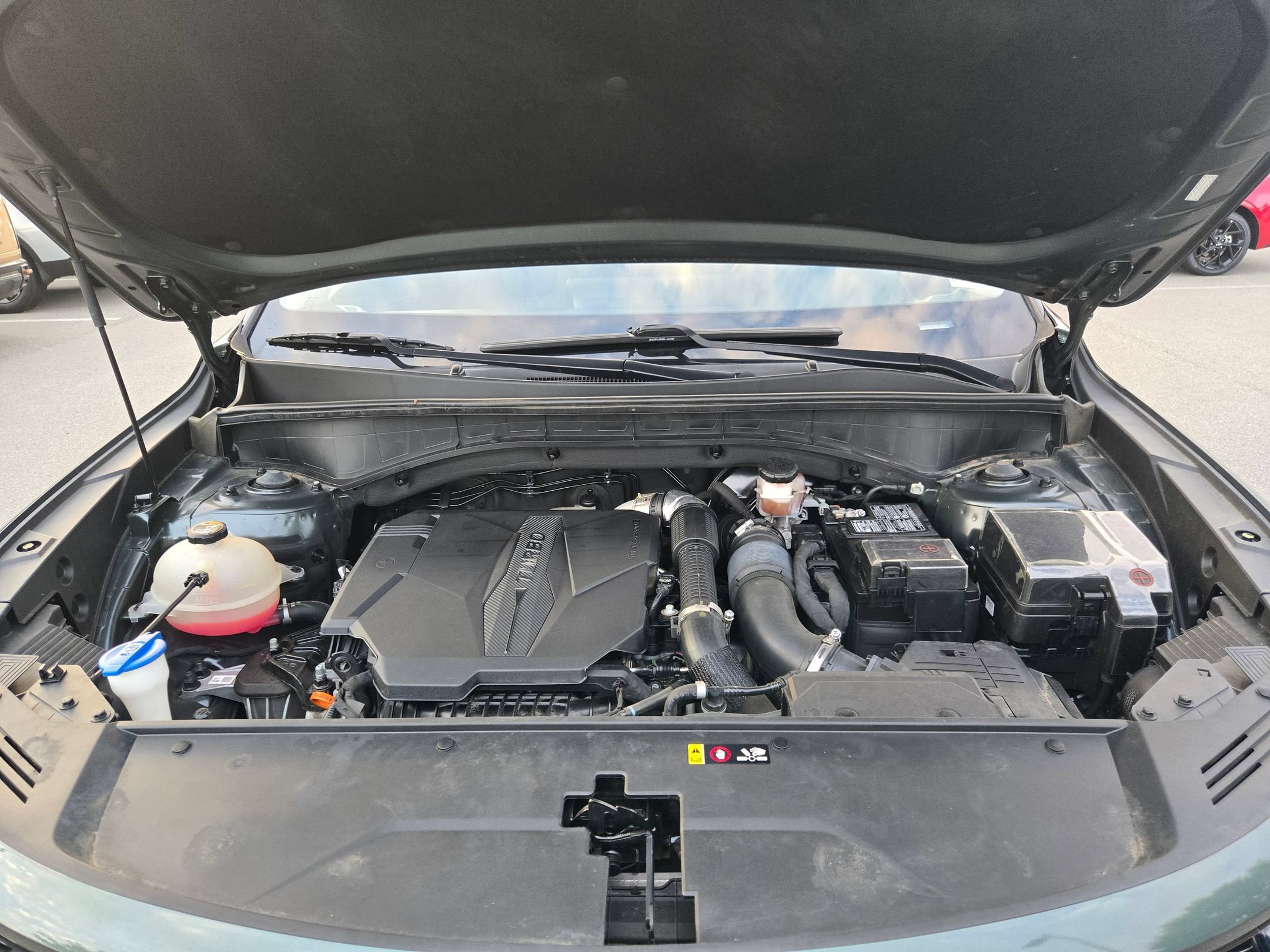 Photo 19