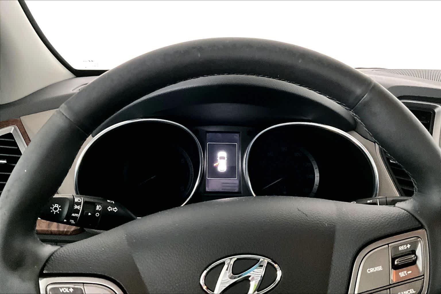Used 2017 Monaco White Hyundai Limited Ultimate image 26