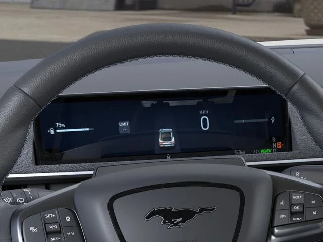2025 Ford Mustang Mach-E GT - Photo 13