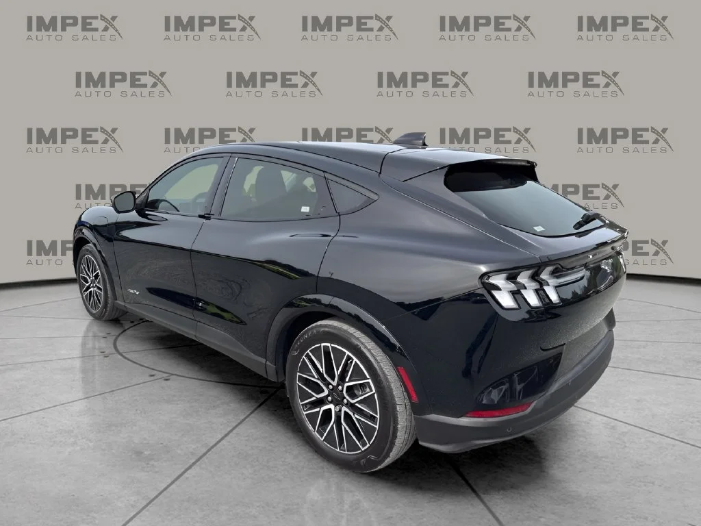Used 2025 Black Ford Premium image 3