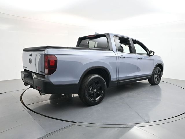 Used 2023  Honda Black Edition image 7