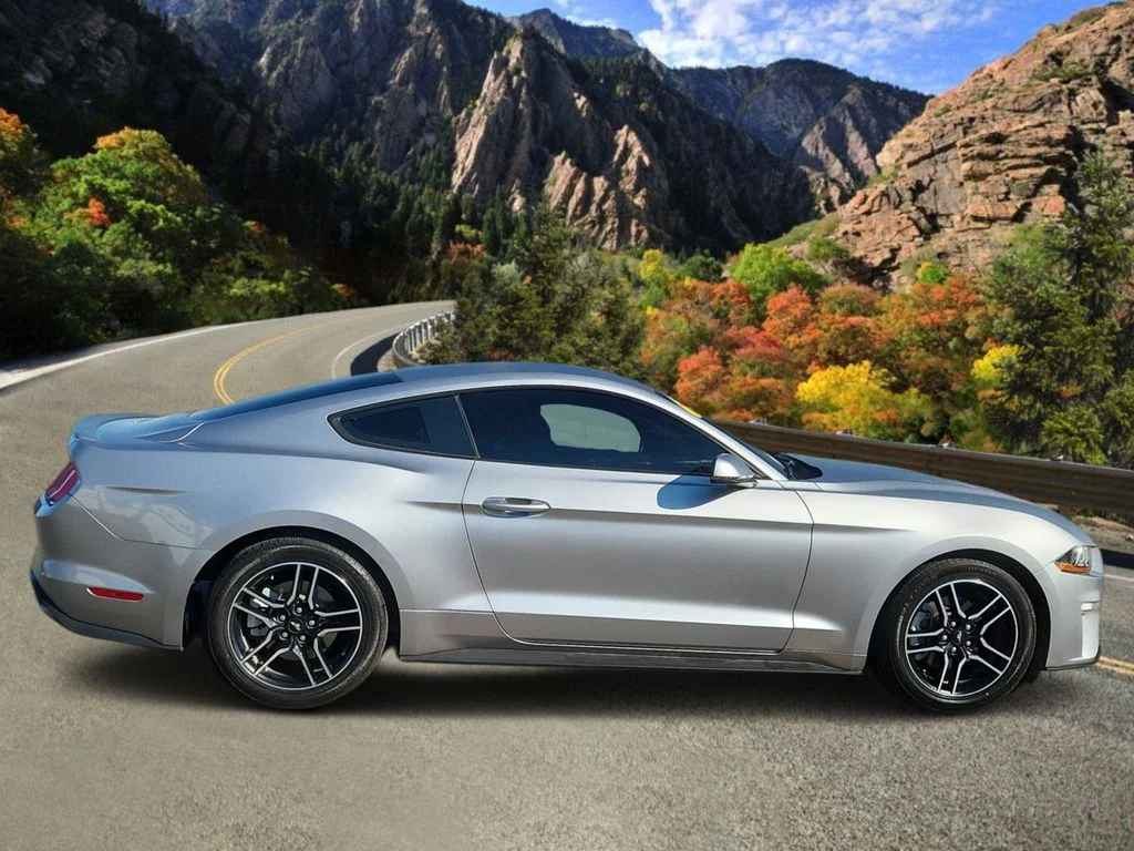 Used 2020 Silver Ford EcoBoost Premium image 2