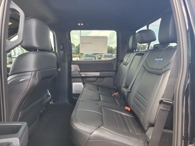 New 2026 Black Metallic Ford Platinum image 14