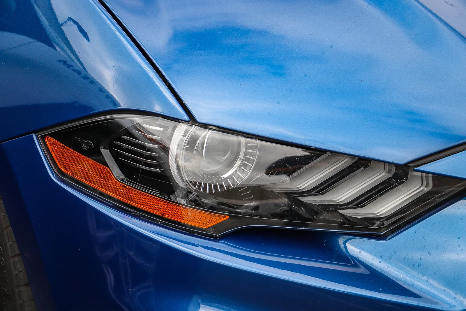Used 2022 Blue Metallic Ford GT image 4